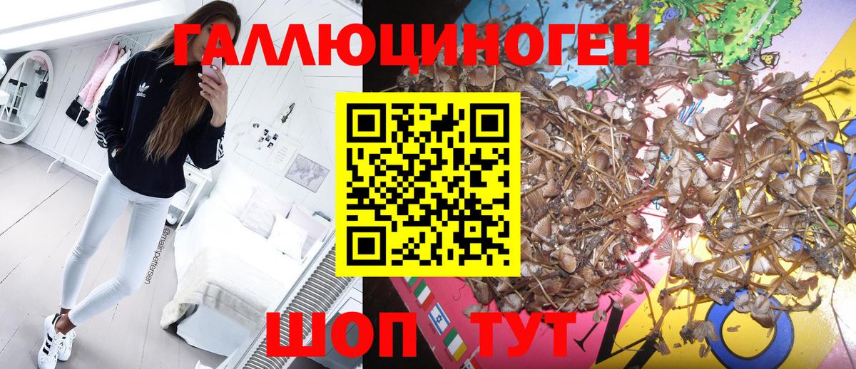 Псилоцибиновые грибы прущие грибы  Вход с VPN  Ликино-Дулёво 