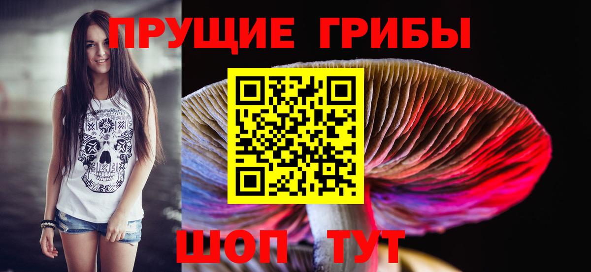 Псилоцибиновые грибы GOLDEN TEACHER Ликино-Дулёво